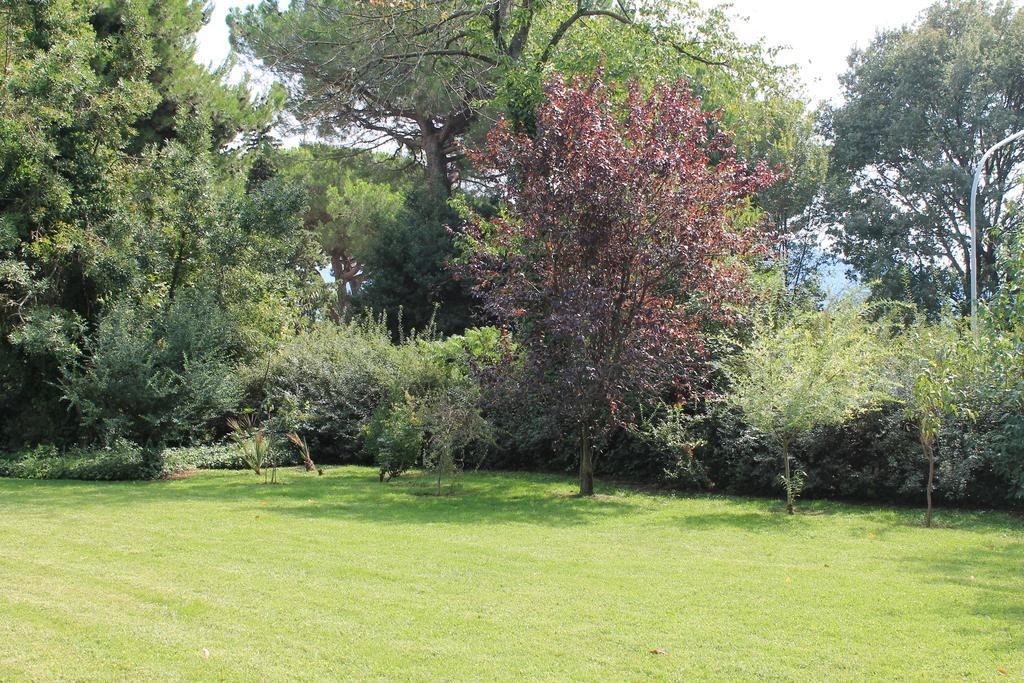 Villa Abbamer Grottaferrata Exterior foto